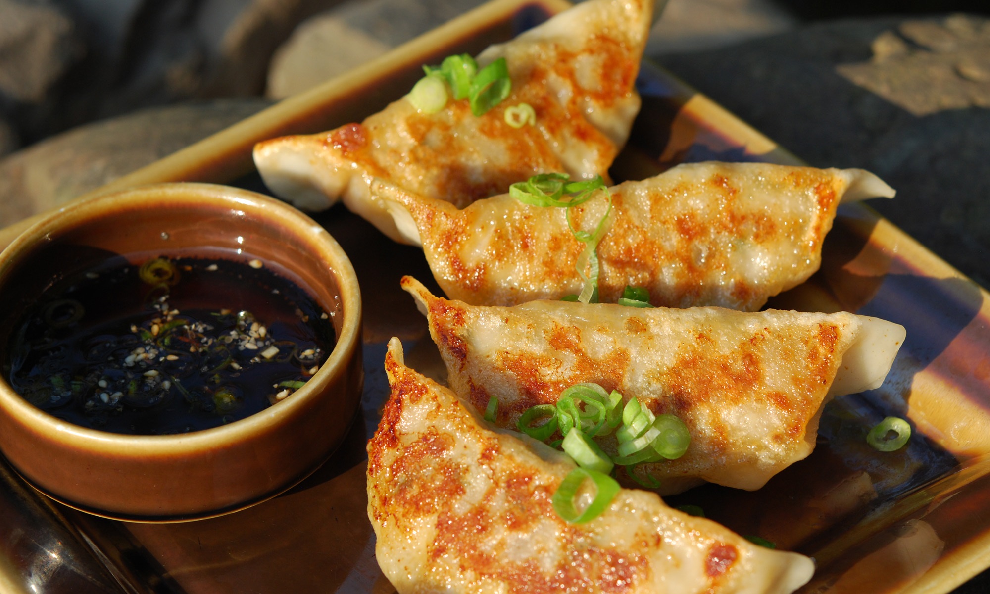 Fried gyoza dumplings.